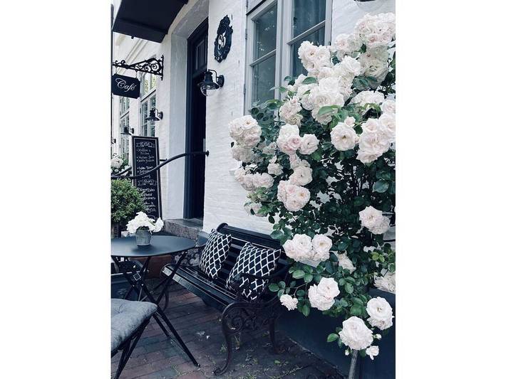 Ferienhaus für 4 Personen, mit Terrasse in Angeln Halbinsel - 2