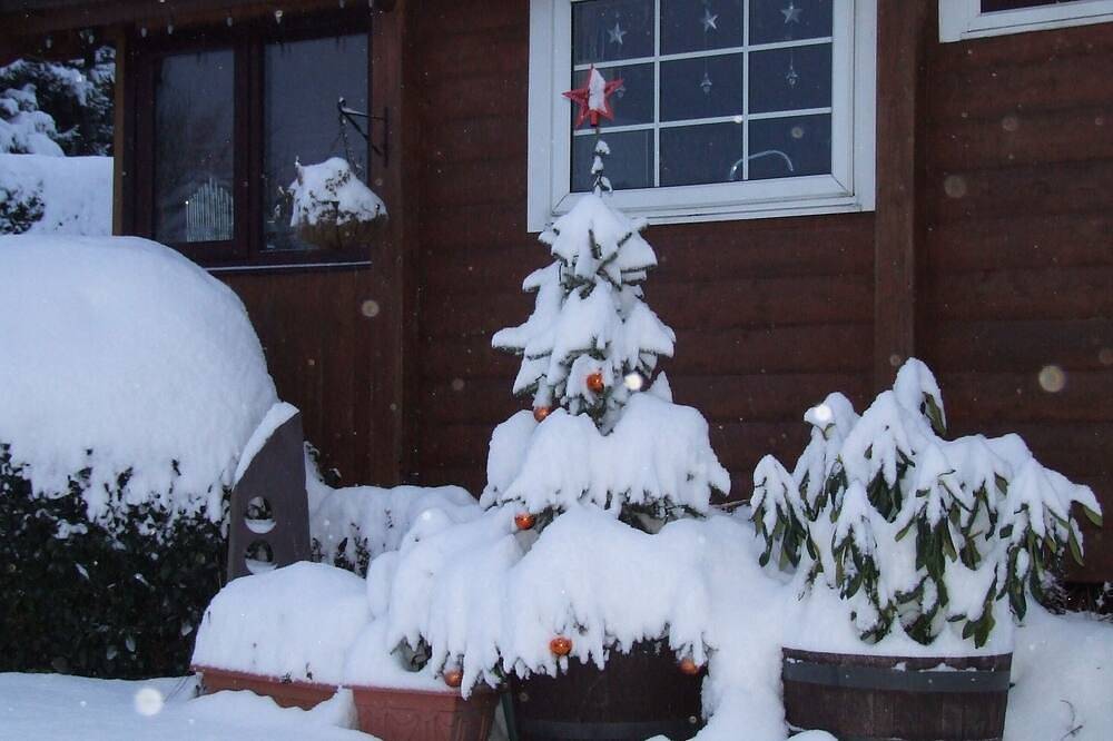 Selbstverpflegung 6 Berth Log Cabin, Snowdonia, Haustiere erlaubt, Blick auf die Berge in Bronaber, Snowdonia
