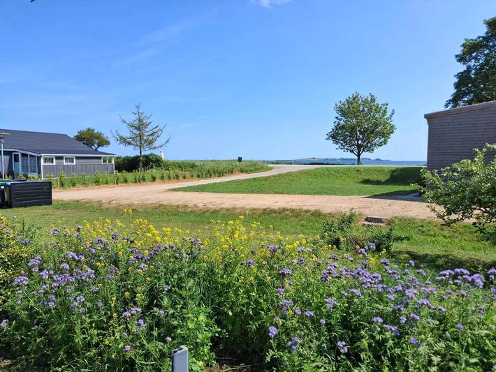 Ferienhaus für 4 Personen, mit Terrasse und Garten in Südjütland - 3