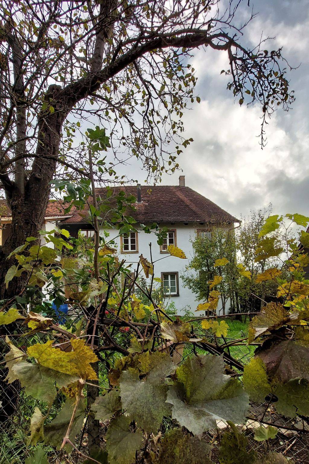 Apartamento entero, Giselas Ruheplatz in Aargau-Basel
