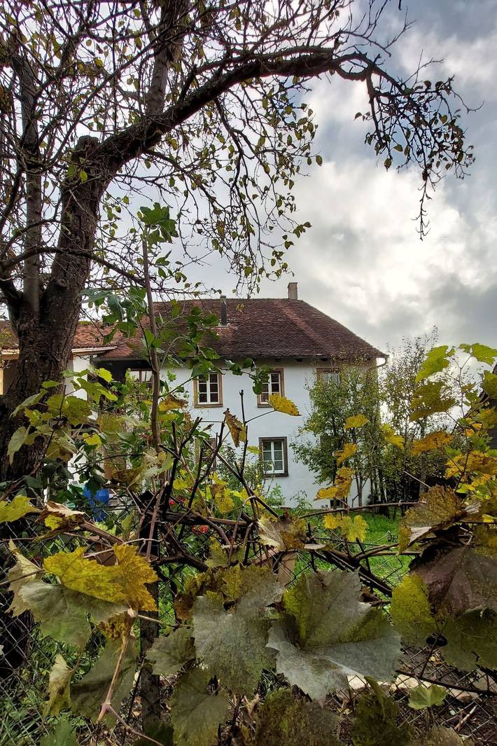 Apartamento de vacaciones para 3 personas, con jardín - 1