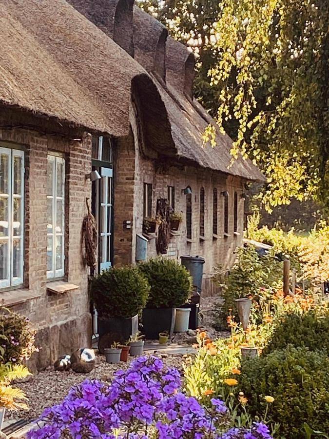 Ferienwohnung für 4 Personen, mit Terrasse und Garten sowie Ausblick in Jübek