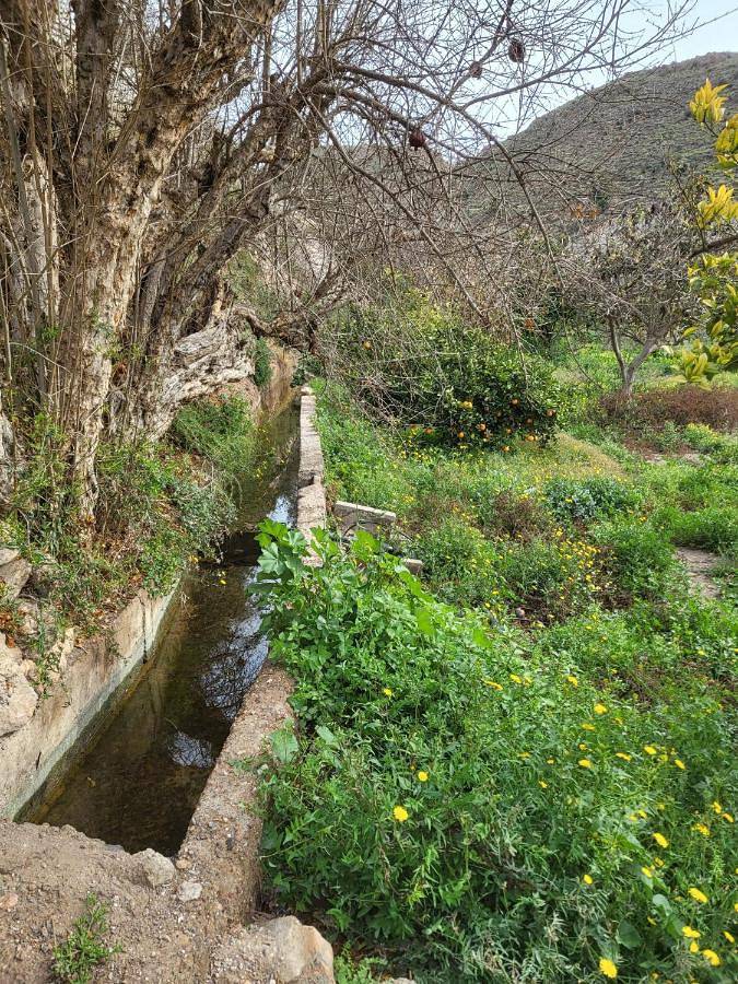 Chalet para 6 personas, con vistas además de jardín y piscina en Provincia de Almería - 3