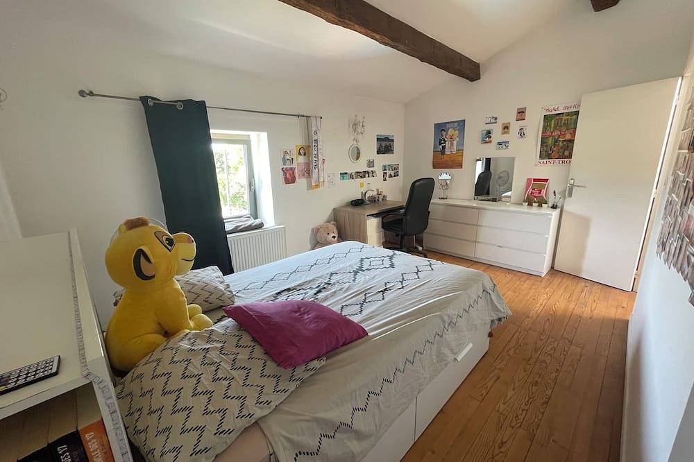 Beautiful house in Vallence, with large swimming pool and air-conditioning in night area in Valence, Valence region