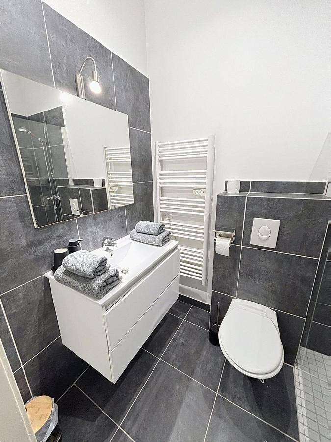 Appartement entier, One-Bedroom Apartment in Montbéliard, Doubs