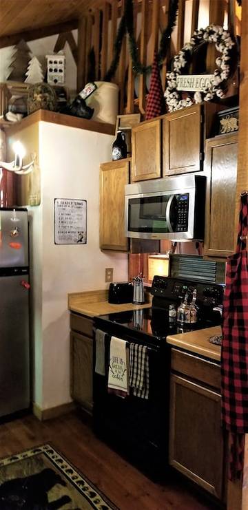 Log Cabin for 6 Guests in Sevierville, Sevier County, Picture 4