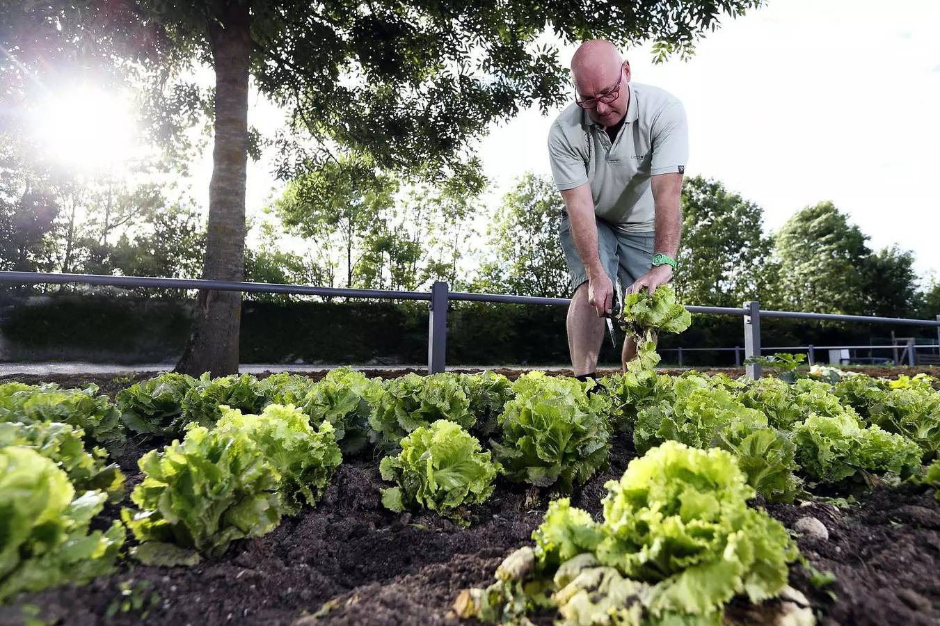 Mobil home Classic 4 estancias 6 personas in Villers-lès-Nancy, Región de Nancy