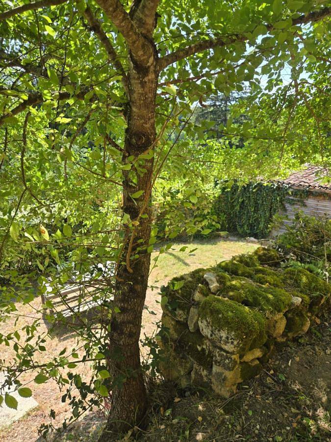 Location de vacances pour 4 personnes, avec Terrasse ainsi que Jardin et Vue à Bayac - 3