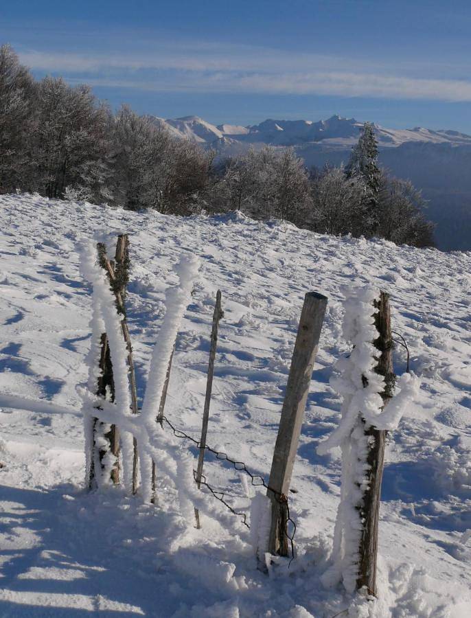 Gîte pour 5 personnes, avec vue dans Thermes De Choussy - 4