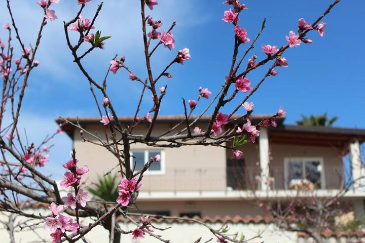 B&b per 4 persone, con Balcone e Terrazza nonché Panorama a Briatico