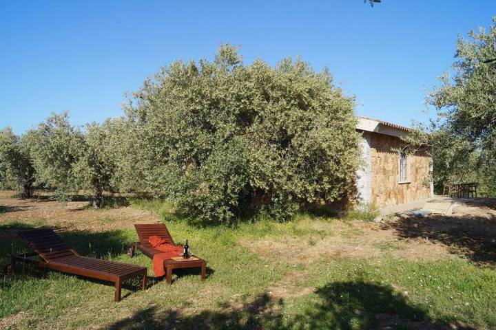 Agriturismo per 4 persone, con Terrazza e Giardino nonché Panorama ad Orosei