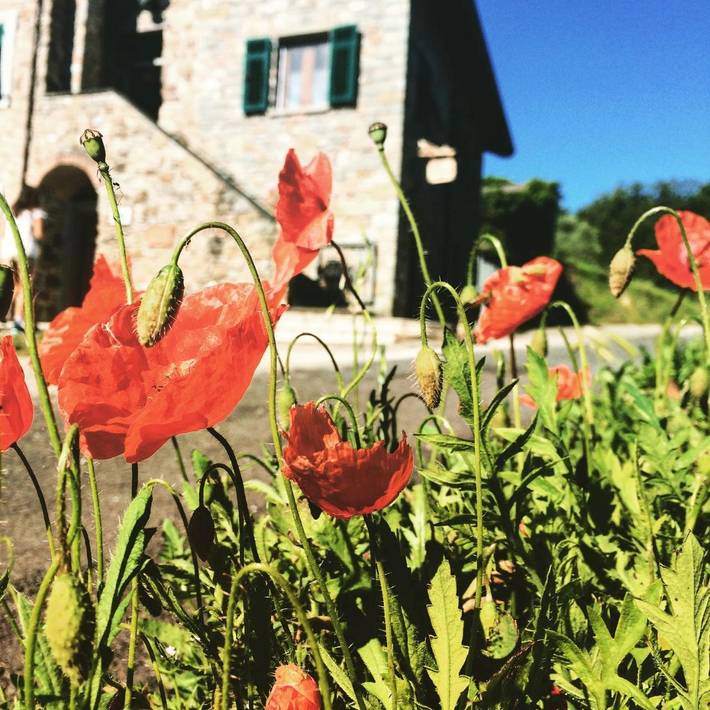Bed and breakfast per 3 persone, con giardino e panorama - 1