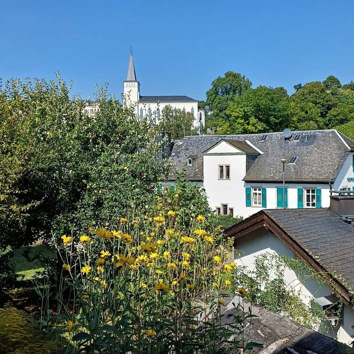 Ferienwohnung für 6 Personen, mit Balkon und Garten in Geisenheim - 3