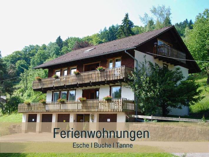 Gemütliche Ferienwohnung mit Balkon, 1,5 km vom Stadtzentrum von Oberböllen entfernt in Neuenweg, Kleines Wiesental