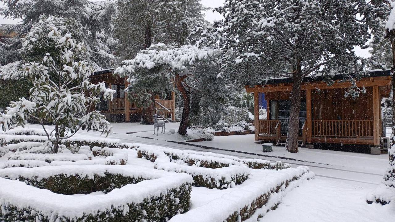 Jardín Las Secuoyas in Becerril de la Sierra, Área Metropolitana de Madrid
