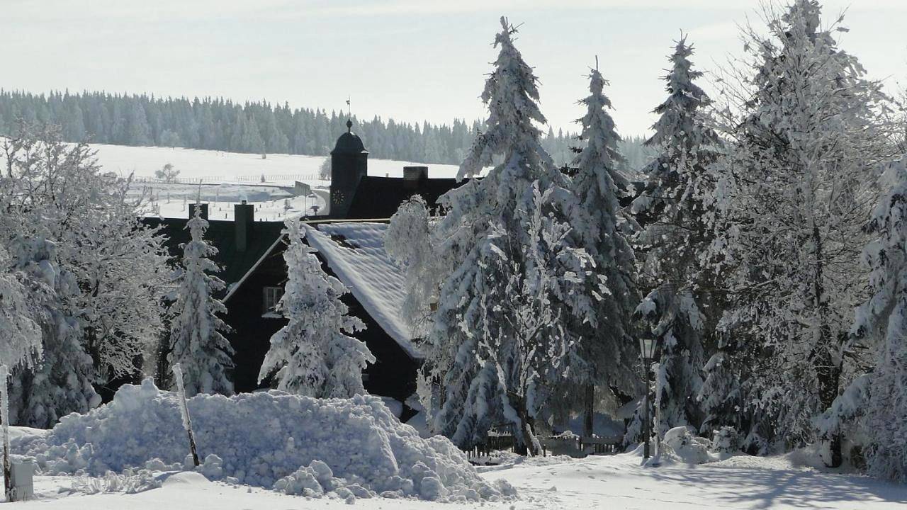 Hotel Bozi Dar - Excalibur in Bozi Dar, Klínovec