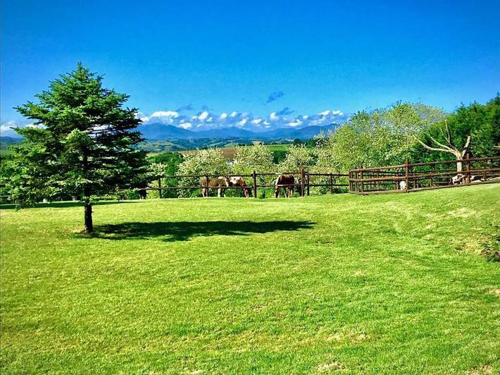 Location de vacances pour 3 personnes, avec jardin à Bardos - 3