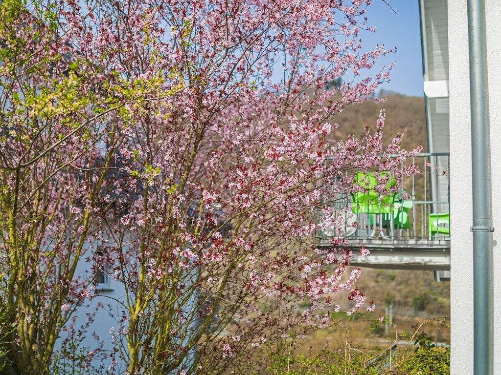 Lys, balcon et vue sur la Moselle in Cond, Cochem