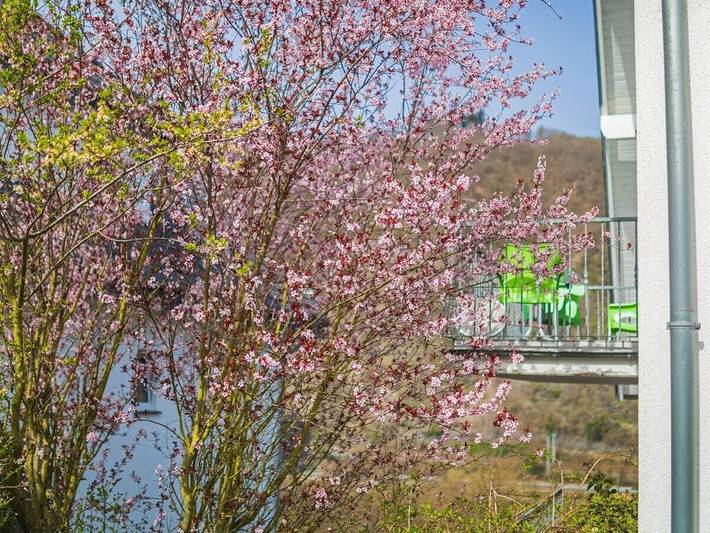 Ferienhaus für 4 Personen, mit Balkon und Garten sowie Ausblick in Cochem - 4