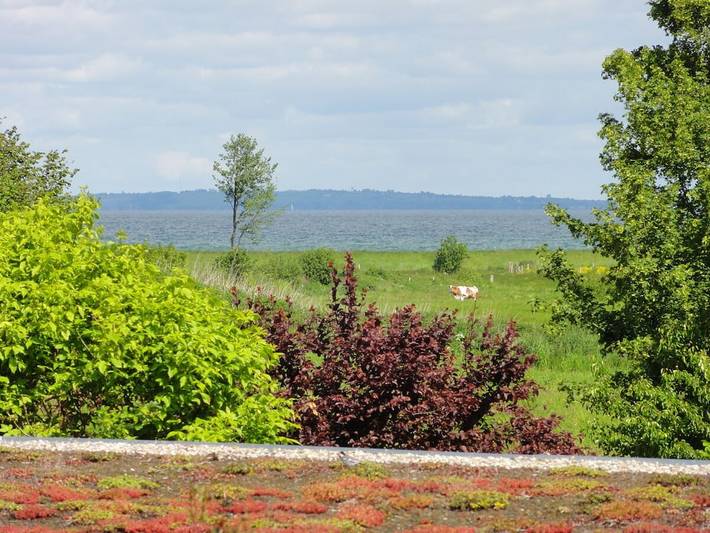 Ferienhaus für 5 Personen, mit Garten in Niesgrau - 2