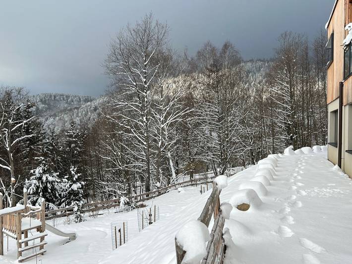 Gîte für 10 Personen, mit Sauna und Garten sowie Terrasse und Whirlpool im Elsass - 4