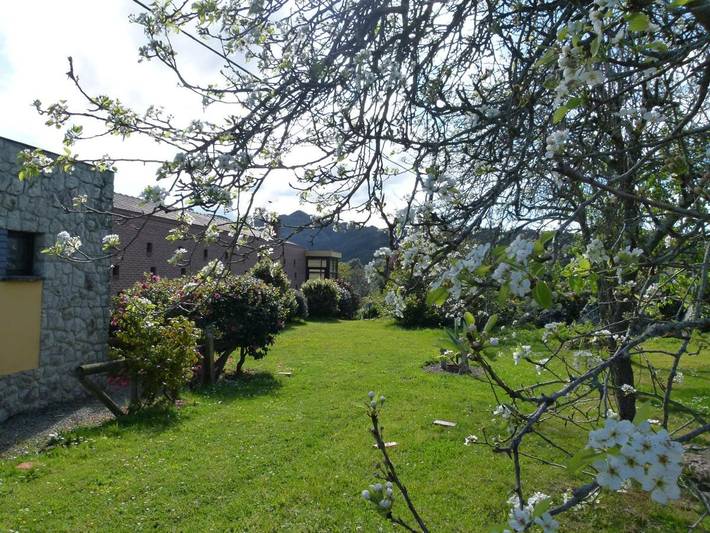 Casa rural para 2 personas, con vistas además de balcón y jardín en Ribadesella - 4