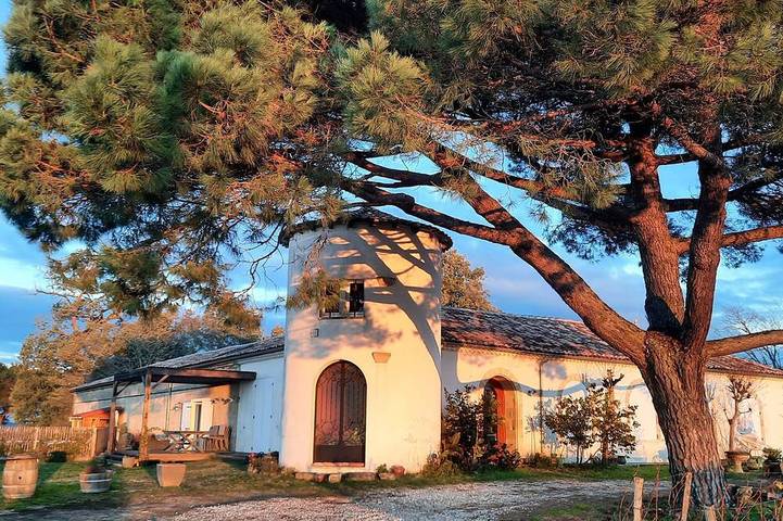 Gîte pour 14 personnes, avec Jardin à Sauternes (Gironde)