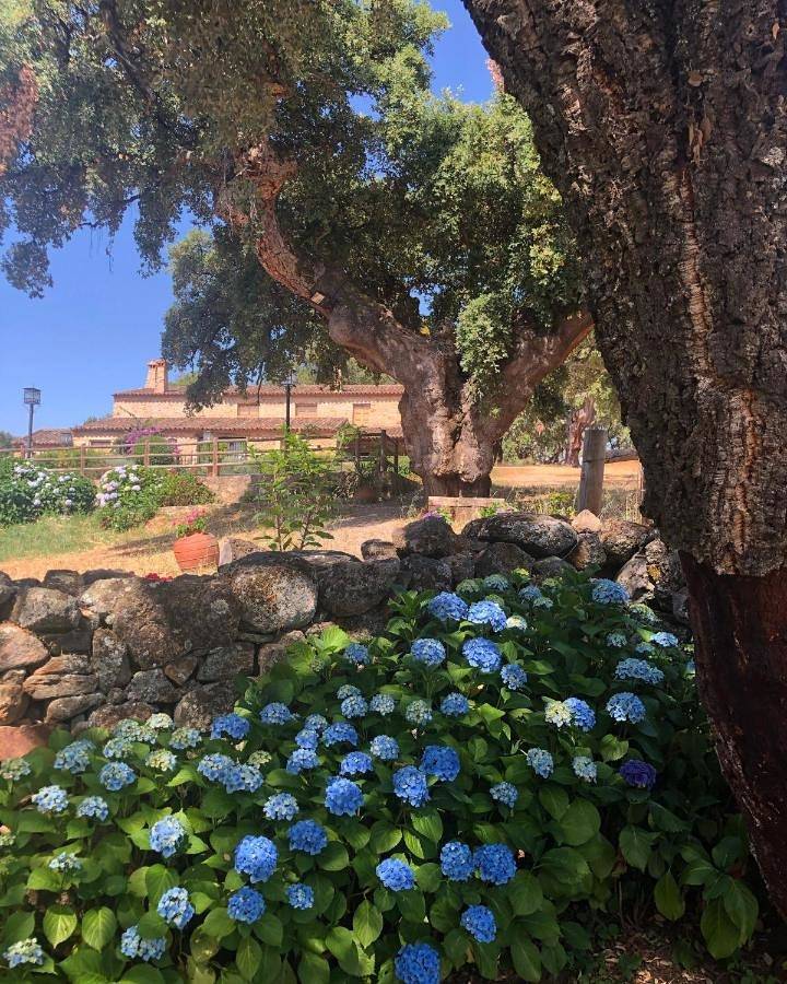 Apartamento entero, Apartamentos Rurales La Macera **** in Valencia de Alcántara, Provincia de Cáceres