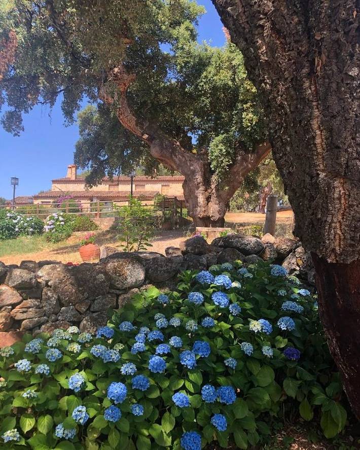 Apartamento para 5 personas, con Terraza y Jardín además de Piscina y Vistas en Valencia de Alcántara