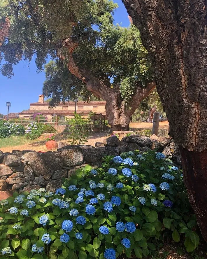 Apartamento de vacaciones para 5 personas, con piscina además de vistas y jardín - 1