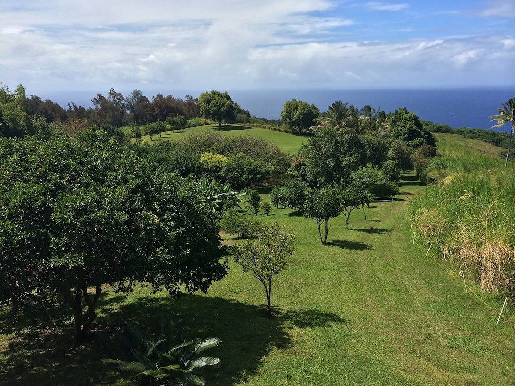 Ruhiges, restauriertes Plantagenhaus mit weitem Meerblick in Hamakua