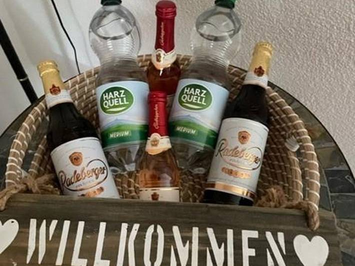 Ferienhaus für 7 Personen, mit Balkon und Terrasse sowie Garten und Sauna in Friedrichsbrunn - 4