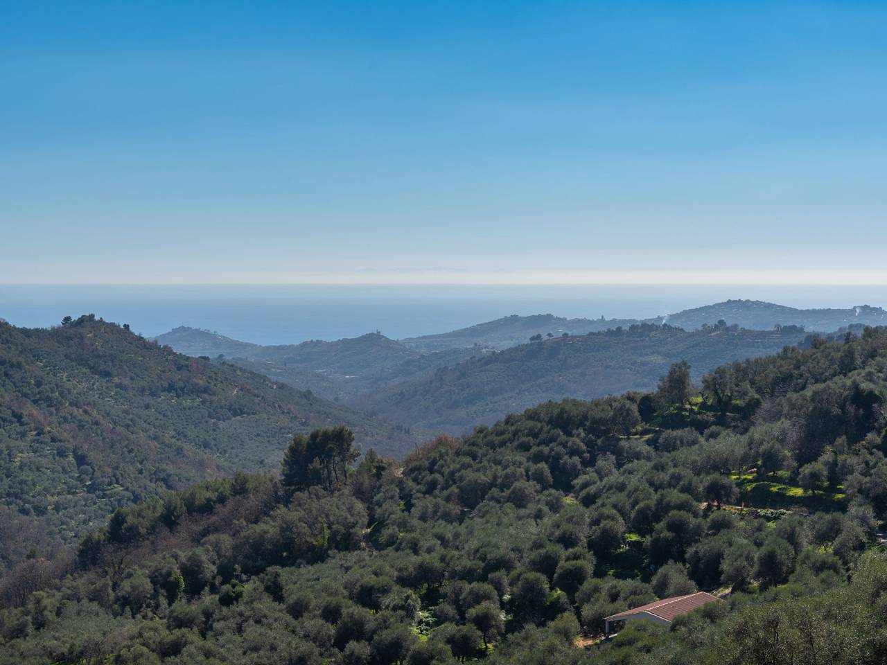 Ganze Wohnung, Verde in Vasia, Riviera di Ponente