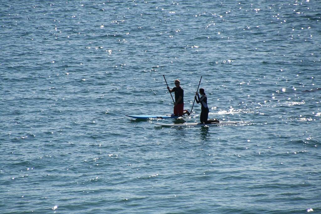 Ganze Wohnung, Exklusives Oceanfront Cottage am trockenen Sandstrand - Seal in Malibu Beach, Malibu