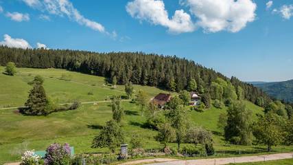Ferienwohnung für 5 Personen in Schonach im Schwarzwald, Hochschwarzwald, Bild 3
