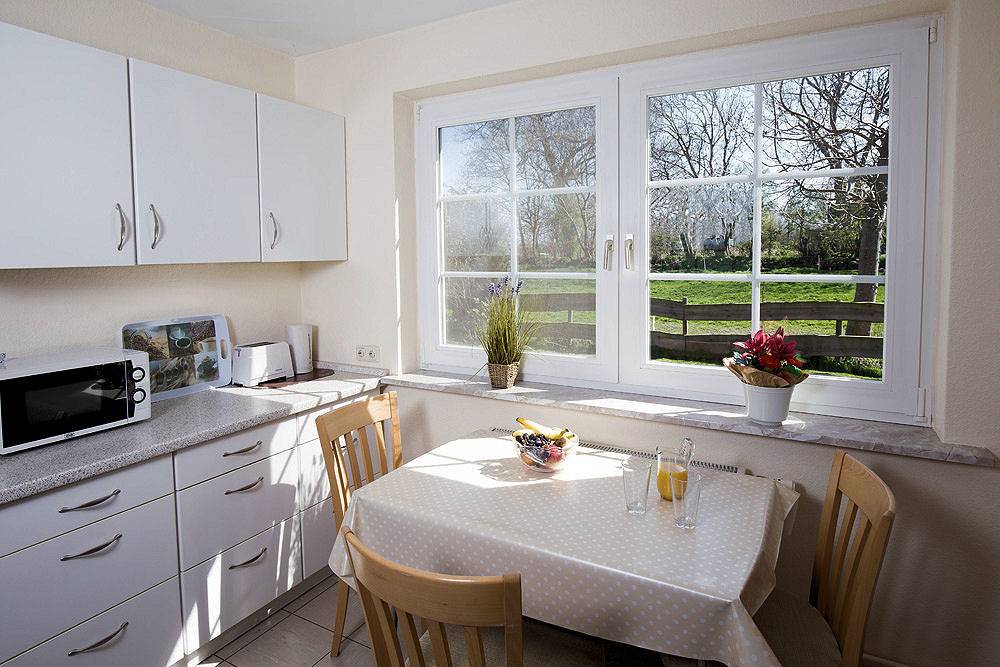 Kastanie in Westfehmarn, Fehmarn