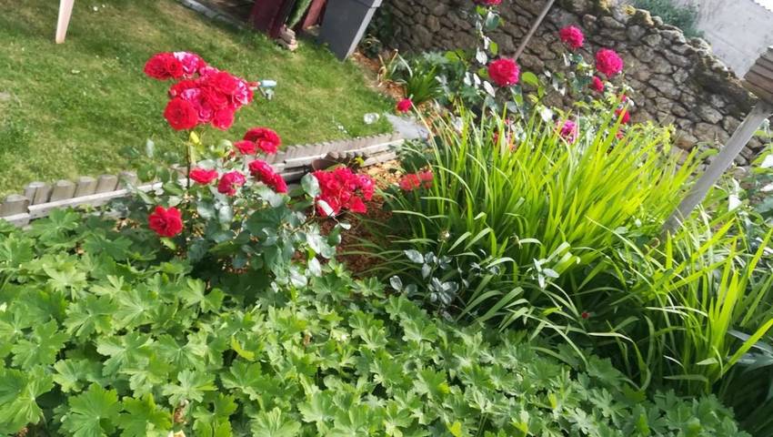 Location de vacances pour 2 personnes, avec vue et jardin à Faye-d'Anjou - 2