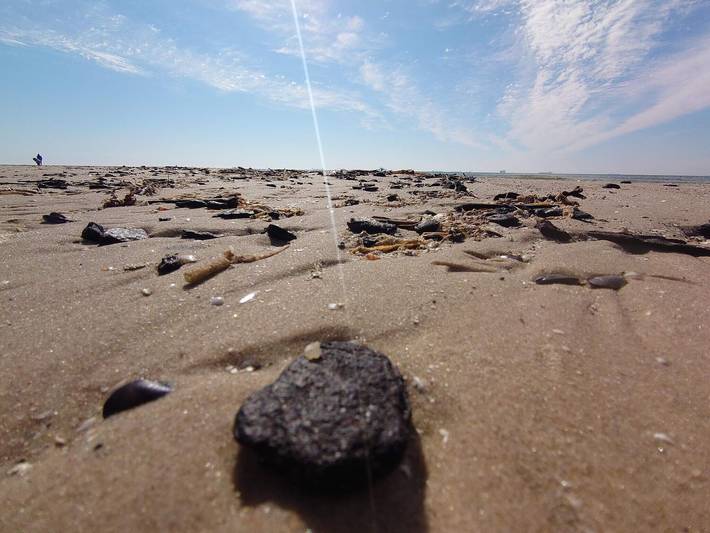 4 Personen Ferienhaus in Skagen in Skagen, Tannisbucht