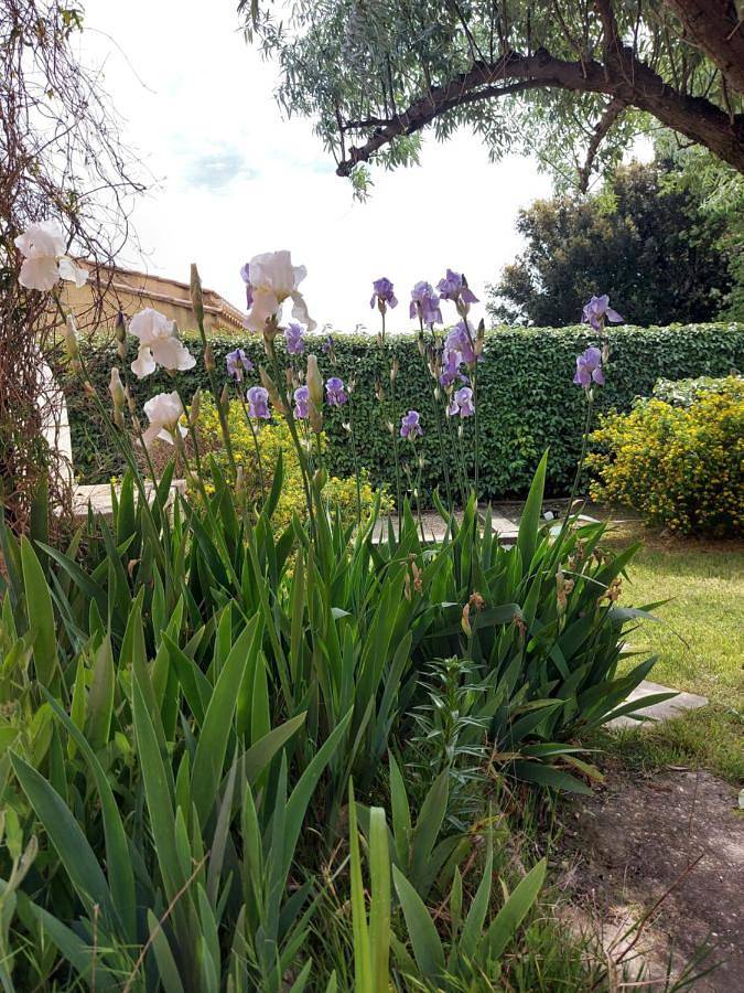 Location de vacances pour 6 personnes, avec terrasse ainsi que piscine et jardin à Bouchet - 4