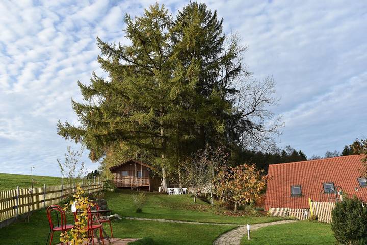 Ferienwohnung für 4 Personen, mit Terrasse und Garten, mit Haustier in Bad Wurzach - 3