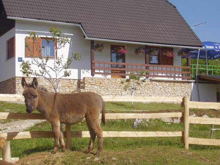Location de vacances pour 4 personnes, avec Balcon et Terrasse ainsi que Jardin et Vue dans Poljanak
