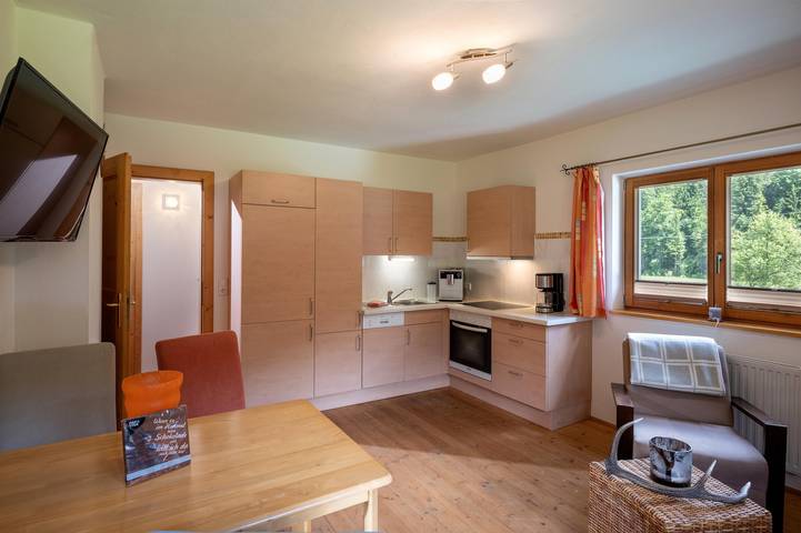 Entire holiday apartment, Apartment/1 bedroom/shower, Wc in Schwendt, Kaiser mountains