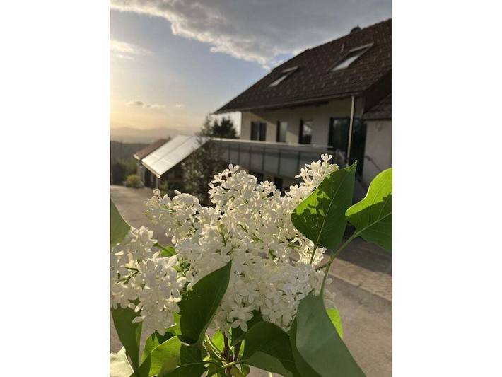 Ferienwohnung mit 1 Schlafzimmer in Lipburg, Badenweiler