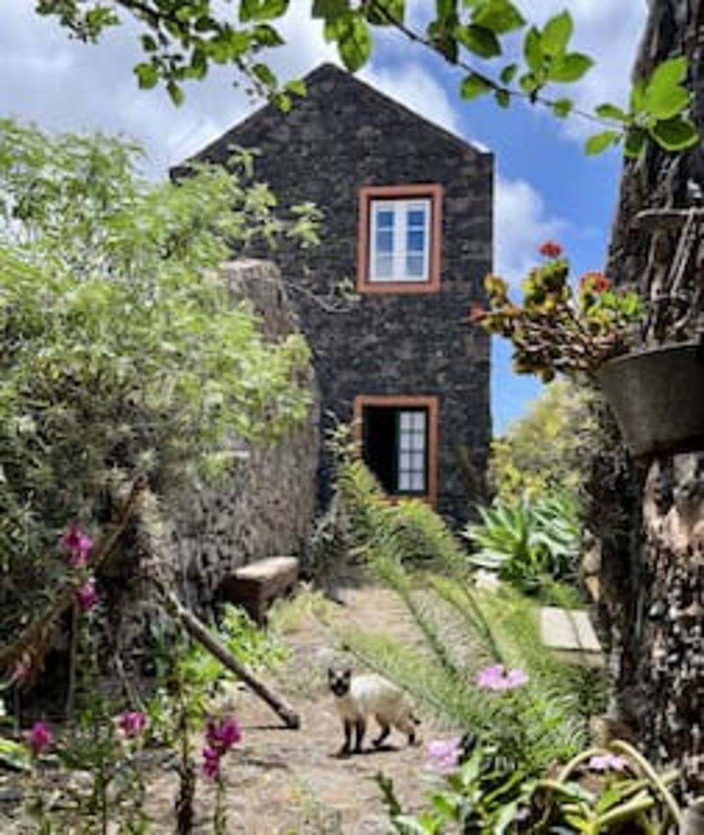 Apartamento entero, Casas Rural Las Guindas - Cozy Rural House, Hierro in El Mocanal, Valverde