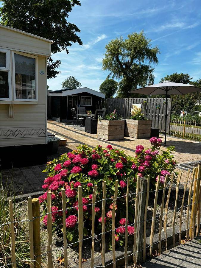 Gîte pour 5 personnes, avec piscine ainsi que jardin et bassin pour enfant à Schagen - 4