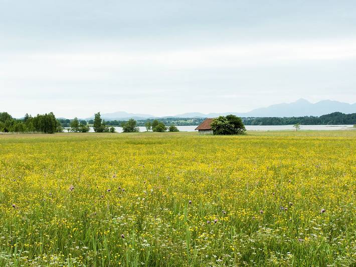 Pension für 8 Personen, mit Balkon und Balkon/Terrasse in Das Blaue Land - 3