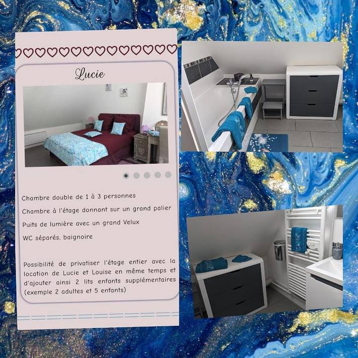 Chambre d’hôte pour 2 personnes, avec jardin et vue ainsi que piscine et terrasse à Nevers - 3