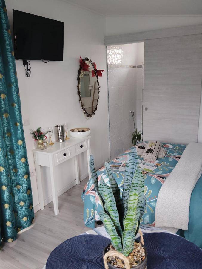 Gîte pour 2 personnes, avec vue et terrasse dans Cité du Volcan - 4