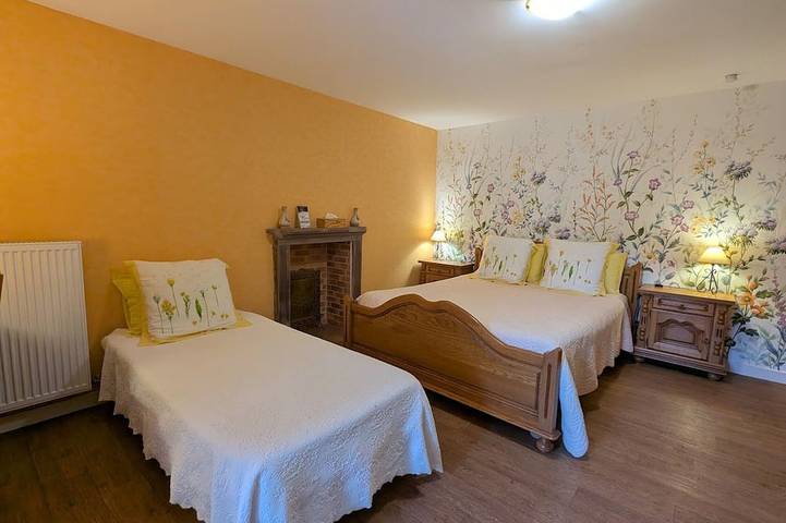 Jonquille Room - 3 Pers, Nature and Comfort in Moyenmoutier, Saint-Dié-des-Vosges