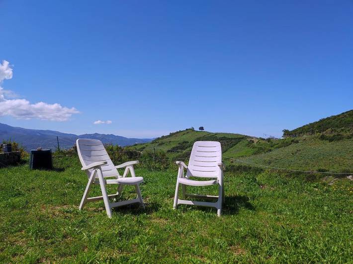 Gîte pour 4 personnes, avec terrasse ainsi que vue et jardin, animaux acceptés à Olmeta-di-Tuda - 3